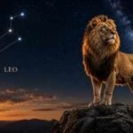 1790500397 leo