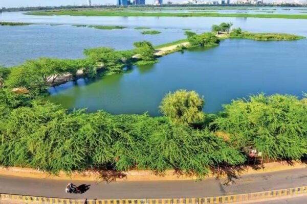 Green Blue Delhi