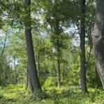 a pennsylvania family protected a 30 acre farm beside 1300 acres of preserved land image credit heritageconservancy