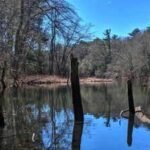 conservation