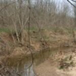 in 1995 an illinois recreation manager bought 100 acres near a major lake image credit usdagov