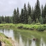 in 2003 sean and melodye rooney bought montana land 23 years later their 57 acres were protected