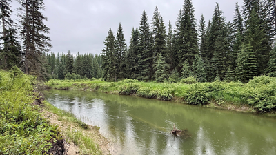 in 2003 sean and melodye rooney bought montana land 23 years later their 57 acres were protected