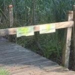 meet erin gardner the westford student raising 2200 to rebuild a 24 foot trail bridge image credit westfordcatorg