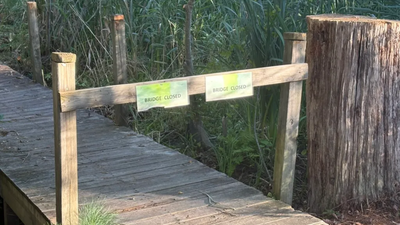 meet erin gardner the westford student raising 2200 to rebuild a 24 foot trail bridge image credit westfordcatorg