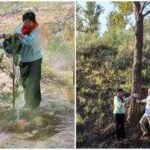 pennsylvania teacher ronald sakolskys 5000 donation helps transform chinas desert into a forest of 50000 trees