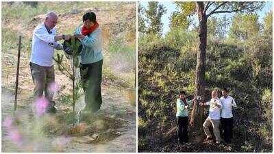 pennsylvania teacher ronald sakolskys 5000 donation helps transform chinas desert into a forest of 50000 trees