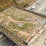 two wildlife crossings are planned over state route 62 near joshua tree national park