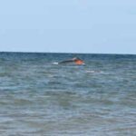 a boat carrying migrants capsized while sailing from djibouti to yemen