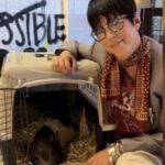 a pig became famous after running through hollywood oscar nominated songwriter diane warren won him in a silent auction and sent him to a 7 acre sanctuary