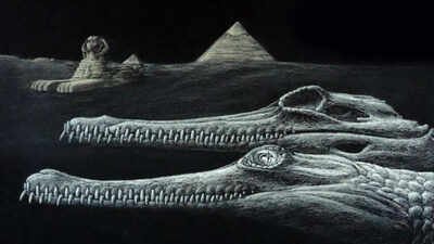 according to a report published by phys org the fossils were originally recovered during the 1920s from egypts roughly 45 million year old mokattam formation