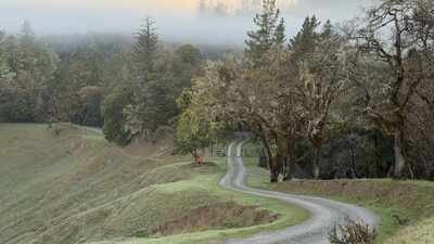bought in 1914 this 6625 acre california ranch is now permanently protected from development
