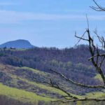 buffalo mountains new conservation area offers scenic landscapes protected forests and outdoor experiences near the blue ridge parkway and blacksburg