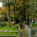 dalys built a chain link fence in 2006 while rileys installed their own fence about two feet away in 2011 ai image