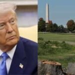 despite the courts decision trump has not withdrawn his plans for the golf course ap photos
