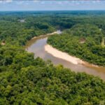 during the american revolutionary war marion and his militia used the areas remote swamps as a base for military operations