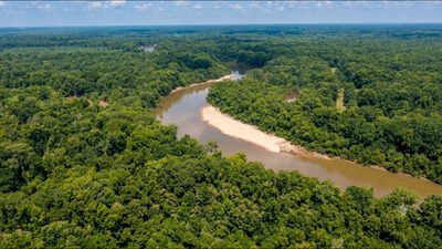 during the american revolutionary war marion and his militia used the areas remote swamps as a base for military operations
