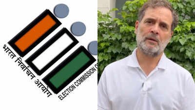 eci revises special intensive revision schedule of electoral rolls in delhi maharashtra