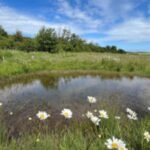 england put 25 million into 20 nature projects in 2024 two years later they had improved 4800 hectares image credit michael burn