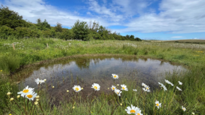 england put 25 million into 20 nature projects in 2024 two years later they had improved 4800 hectares image credit michael burn