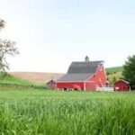 farmland