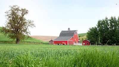 farmland