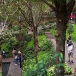 ford foundation exceeded its 100 million pledge with 1585 million for indigenous land rights and forest protection supporting 324 organisations over five years