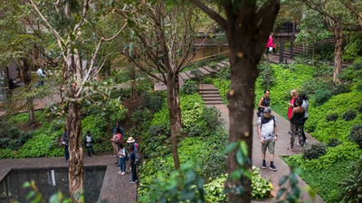ford foundation exceeded its 100 million pledge with 1585 million for indigenous land rights and forest protection supporting 324 organisations over five years