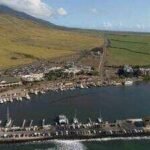 hawaiis appeals court has vacated a 7 million compensation judgment involving williams property