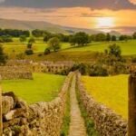 how farmers helped bring wildlife back to southern england
