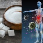 impact of sugar on antibiotic course