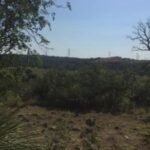 in 1858 a texas family began holding ranchland that developers later wanted for 3500 houses in 2016 image credit joey palaciostexas public radio