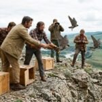 in 1974 more than 6000 peregrine falcons were released into the wild after the population wiped out helping restore the once endangered birds across north america