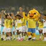 international friendly india v brazil