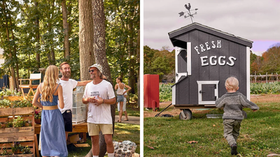 isabella rossellini turned a 27 acre new york farmstead into a protected community farm after conserving 208 acres