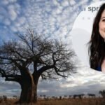 mackenzie scott gave maliasili 15 million after an earlier grant helped create a conservation fund that fund has since backed 28 organisations