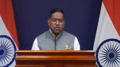 mea spokesperson randhir jaiswal file photo
