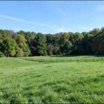punxsutawneys verdant fields