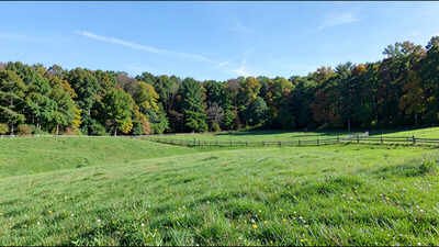 punxsutawneys verdant fields