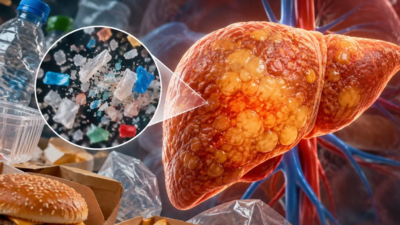 researchers found that polyethylene microplastics worsened signs of fatty liver especially when combined with an unhealthy diet