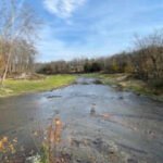 restored paulinskill river