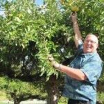 retired fbi agent dave benscoter turned his retirement into a mission to find lost apples