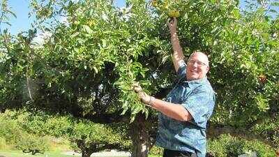 retired fbi agent dave benscoter turned his retirement into a mission to find lost apples