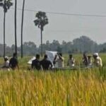 siwan administration and police conducting search drivejpg