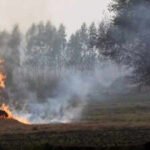 stubble burning