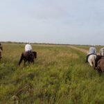 texas ranchers blocked well operators from 1604 acres in 2004 court lets oil firm cross property