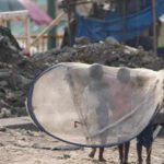 the hidden cost of clean cities child labour in waste segregation