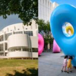 the high museum adds over 200 works across photography contemporary art and design celebrating its centennial journey