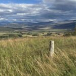 the ranch located near burns across eagle and routt counties has been in the nottingham family for decades