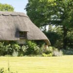 the thatch